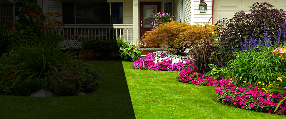 Roan Mountain Landscapers