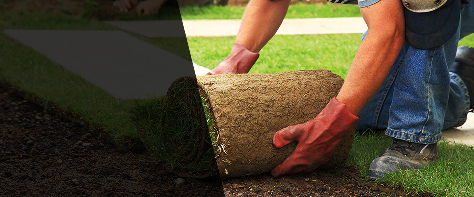 Roan Mountain Landscapers